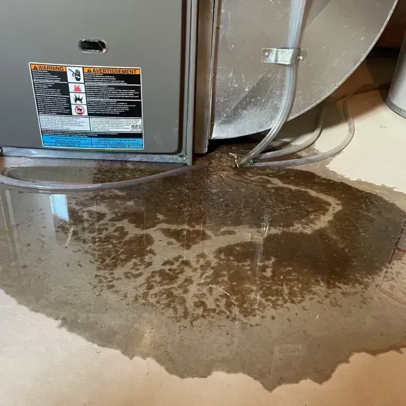 Appliance Leak Cleanup in Monticello, FL